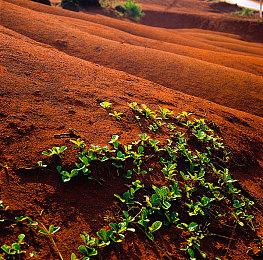 模拟新作《监狱之王》2023年发售 支持简体中文